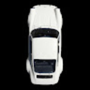 Meet your Posher, Trevor